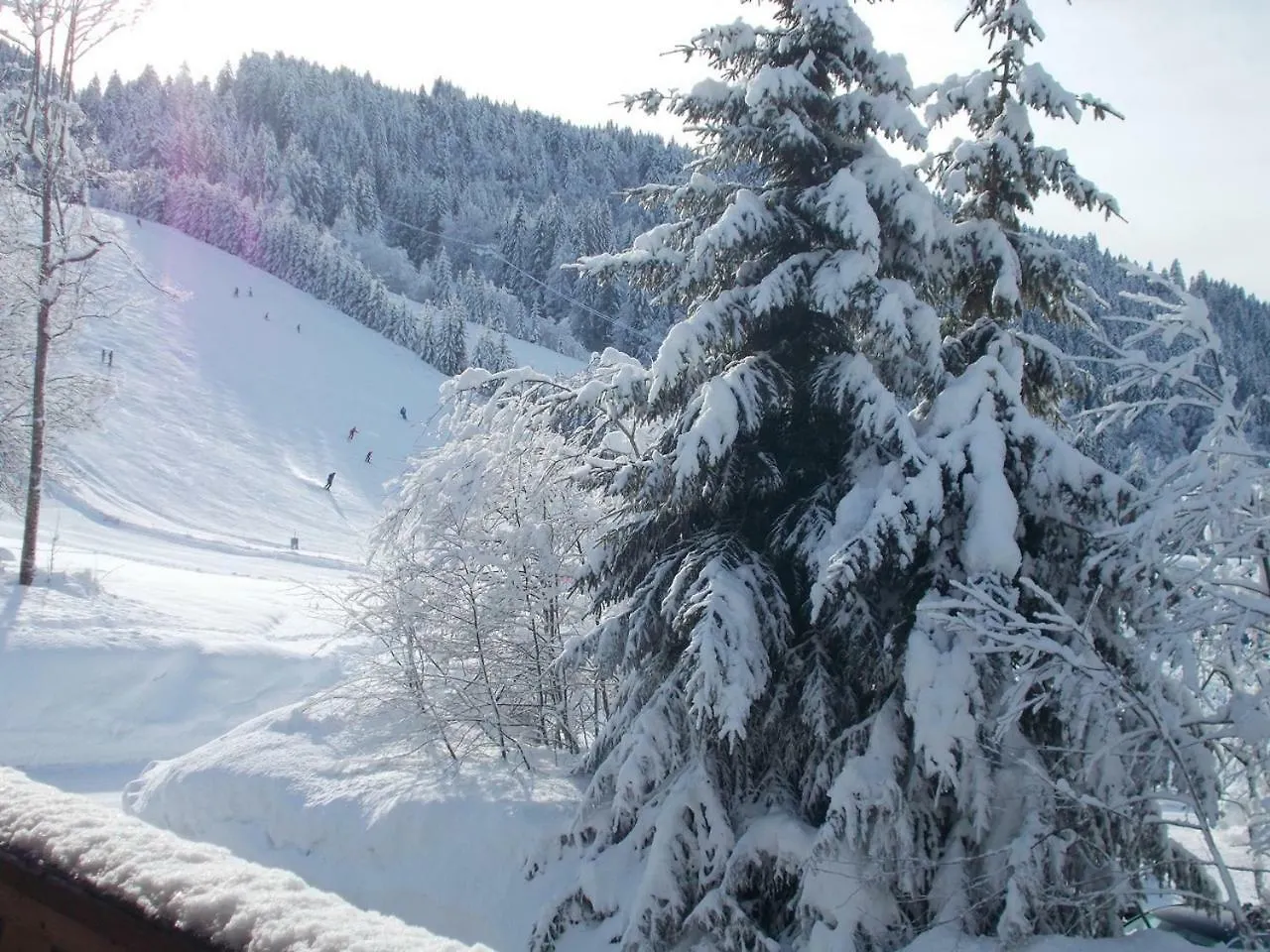 Chalet Jonquille Les Gets