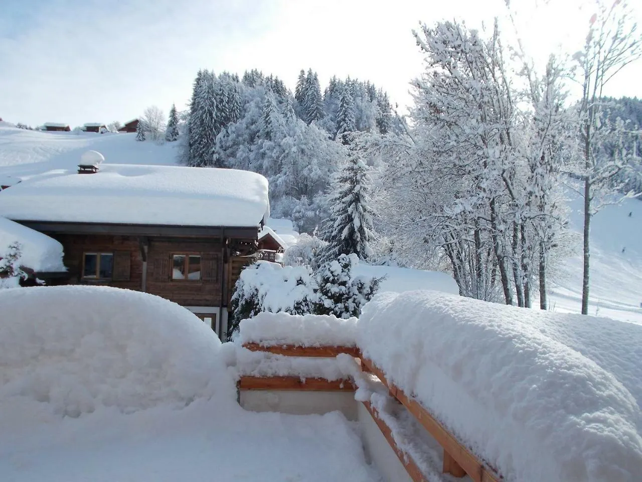Chalet Jonquille Les Gets