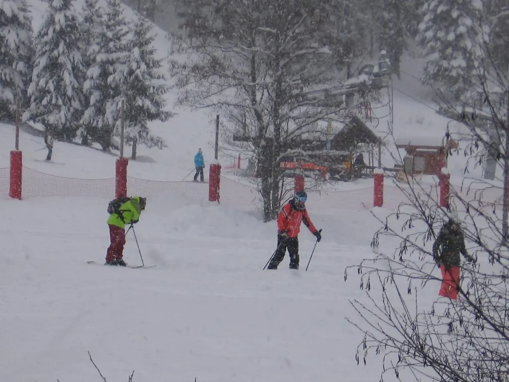 Chalet Jonquille Les Gets 0*,  France