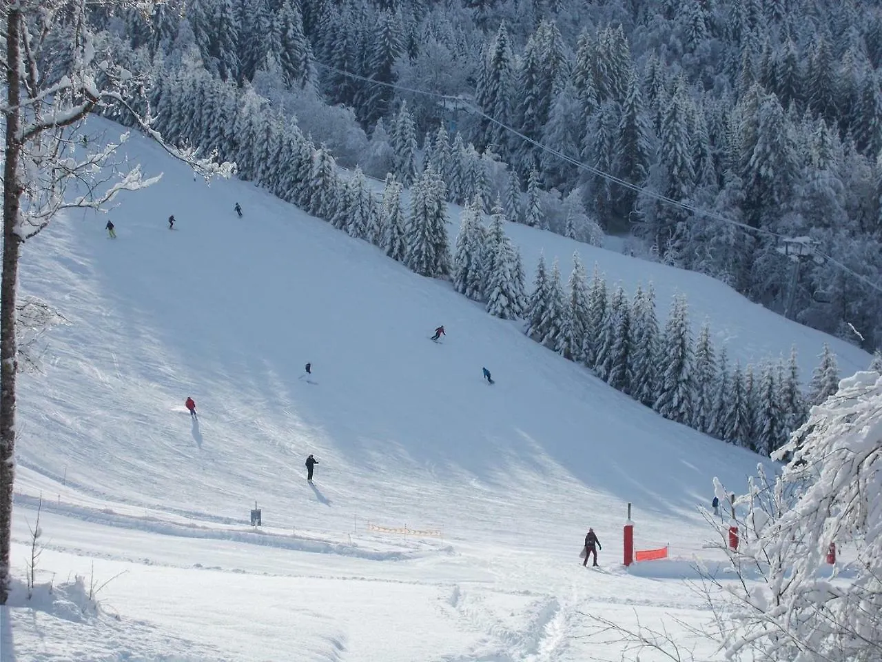 Chalet Jonquille Les Gets