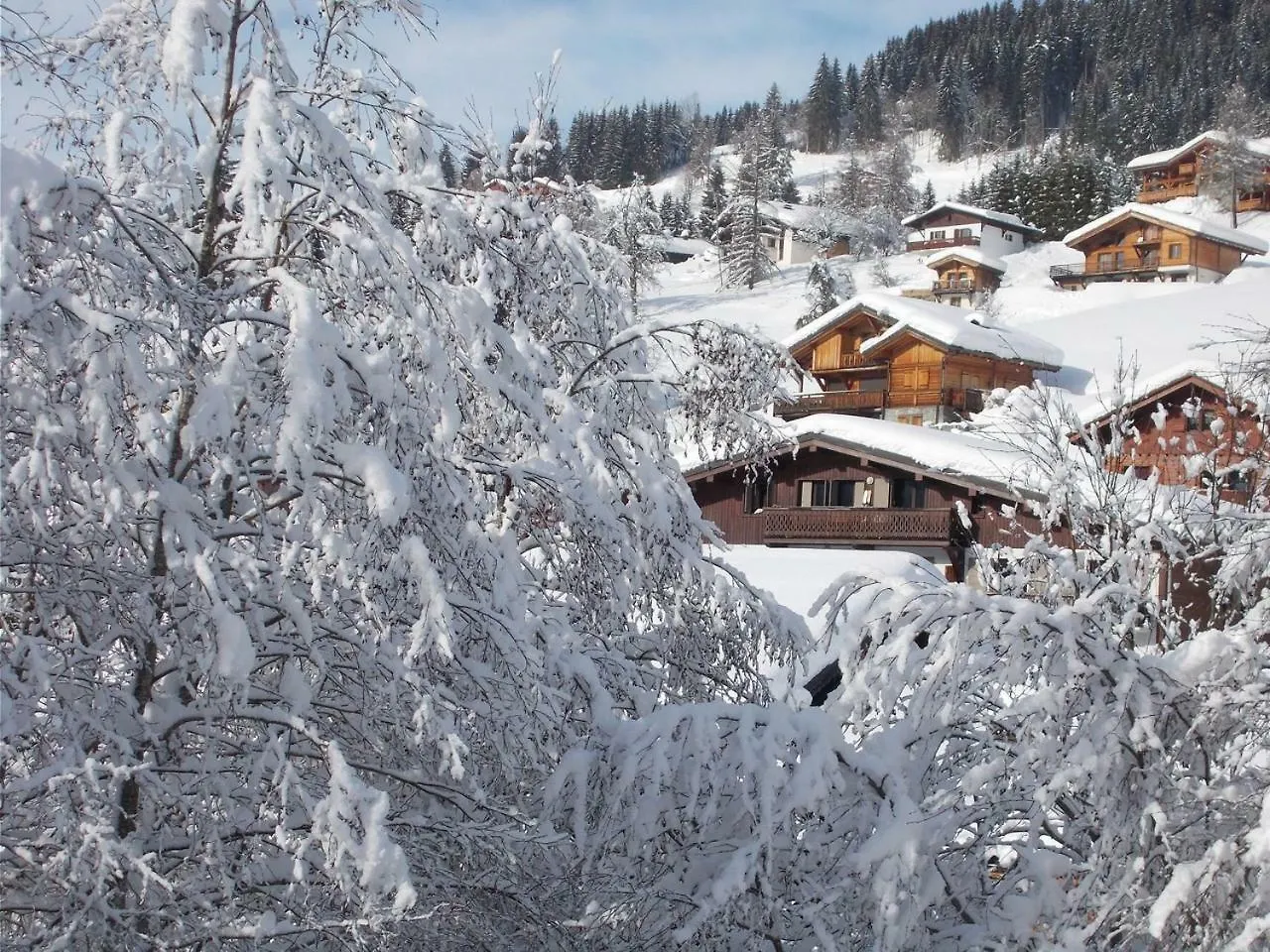 Chalet Jonquille Les Gets France